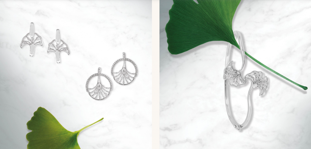 Ginkgo Leaf Collection
