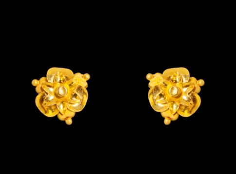 Charusmita Gold Stud Earrings